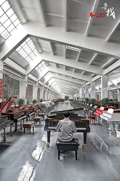 跨界共鸣 钢琴医生与技术转让的艺术与科学